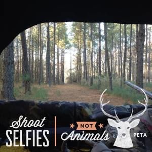 Meet your Posher, Jeremy